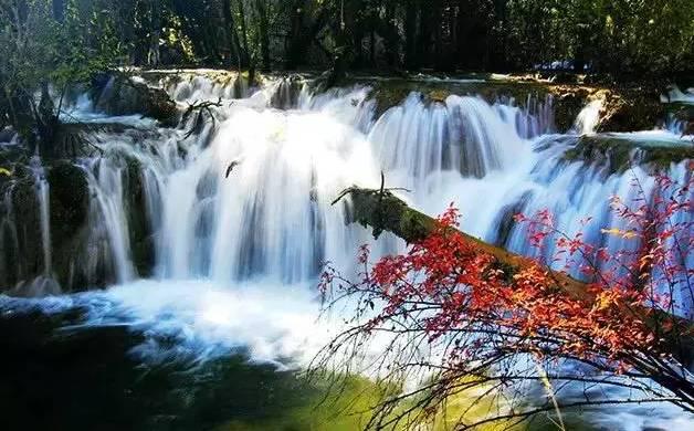 漳州南靖：汇聚乡贤力量 推动乡村振兴