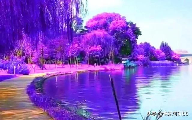 看恐怖情节无动于衷的人是心理承受能力强吗？游戏画面